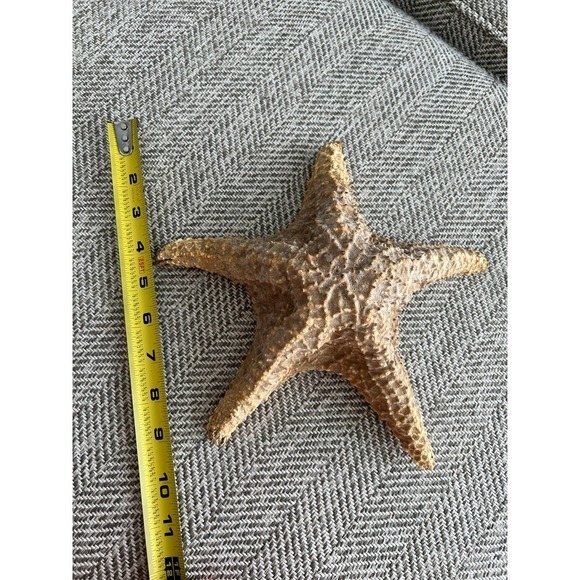 Starfish decoration 10"x10"‎ - Picture 5 of 5